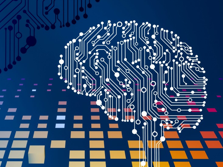 neural network lines in the shape of a brain