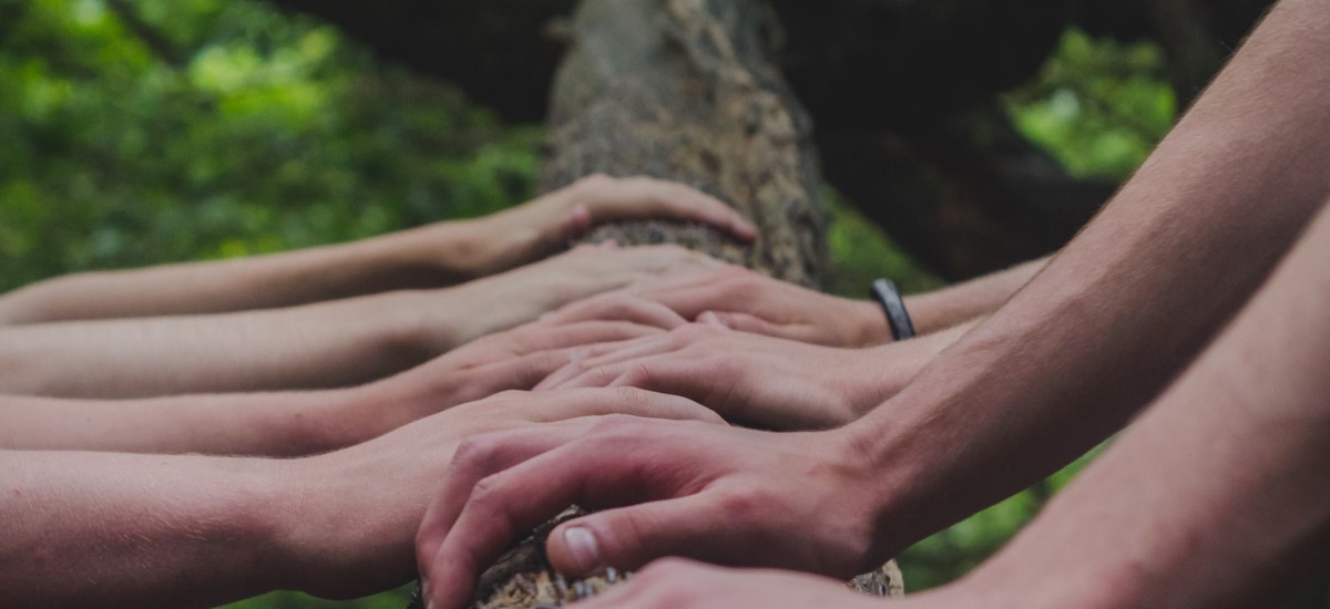 hands lined up on a tree bark