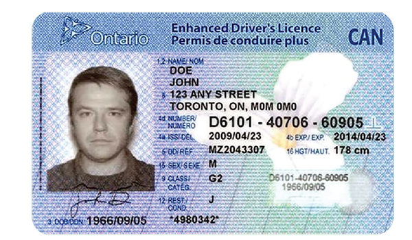 Ontario drivers licence