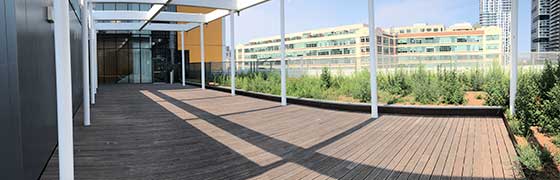 Architectural elements on the roof of the DCC