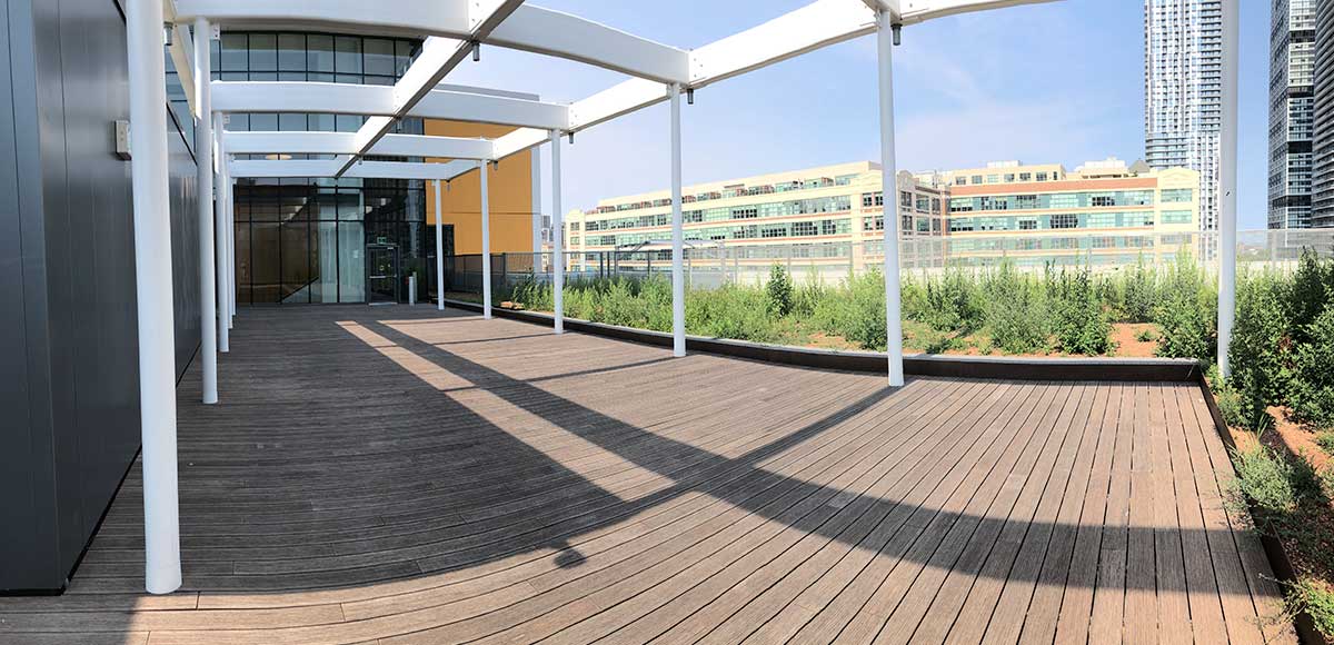 Architectural elements on the roof of the DCC