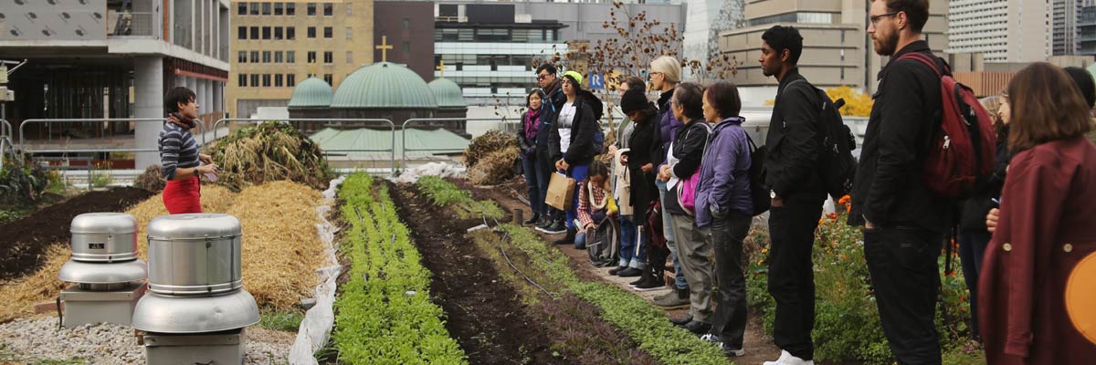 A row of people standing in Ryerson's rooftop garden while listening to a person speak.