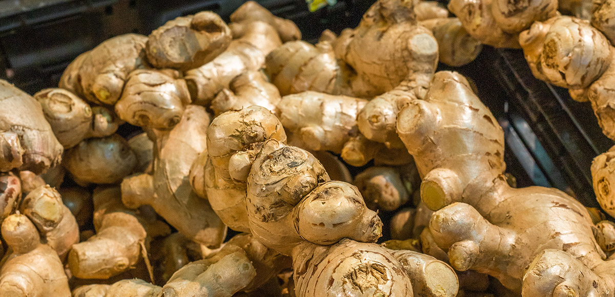 A pile of harvested ginger.