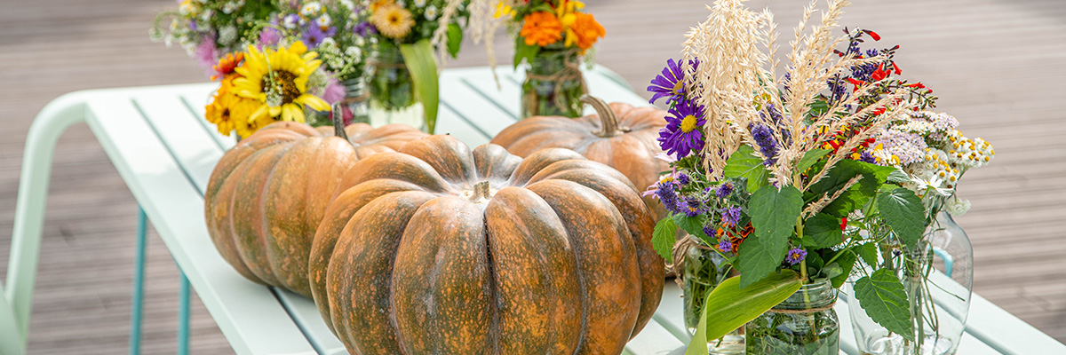 Harvest Party decorations, including pumpkins and rooftop-grown flowers.