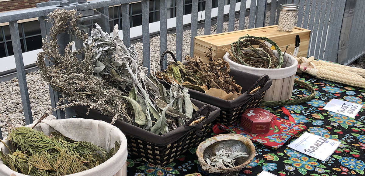A table display of Indigenous medicines grown at the Urban Farm.
