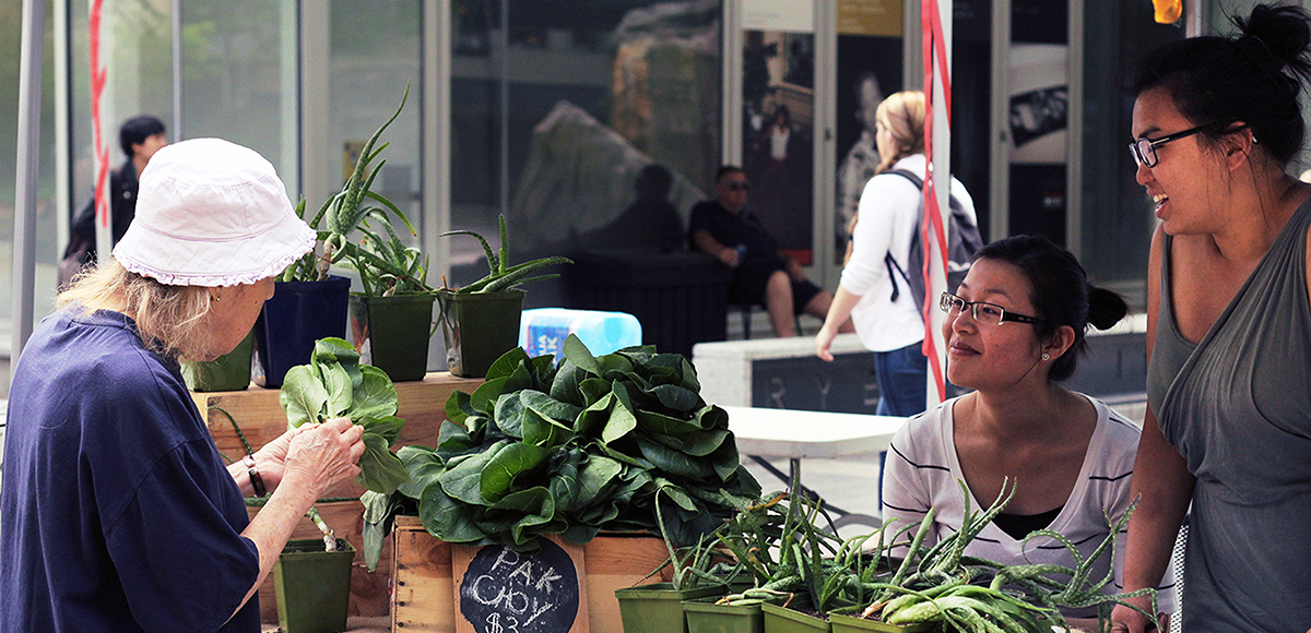 A customer examines fresh produce at the Farmers' Market.