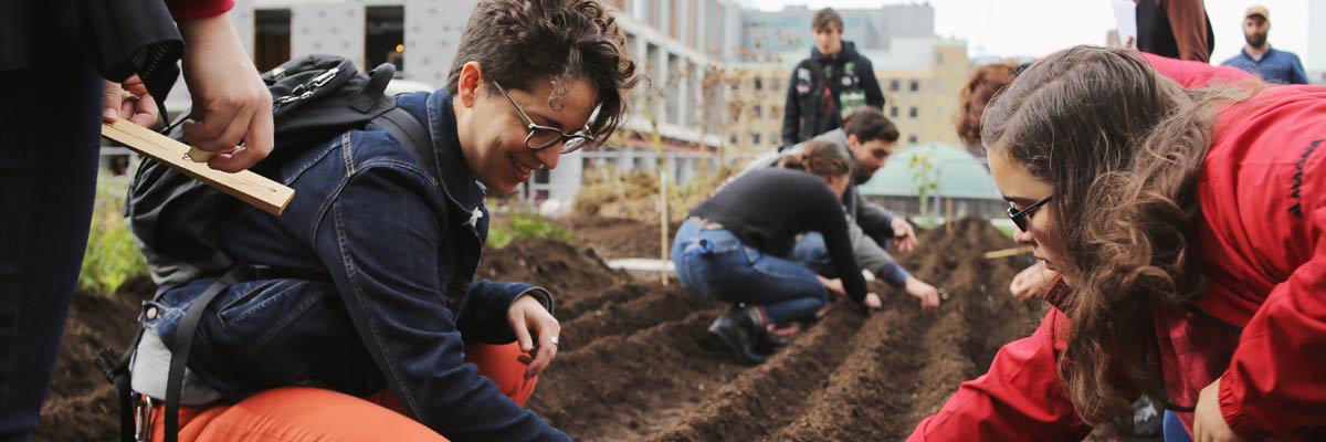 People working on Ryerson's rooftop garden.