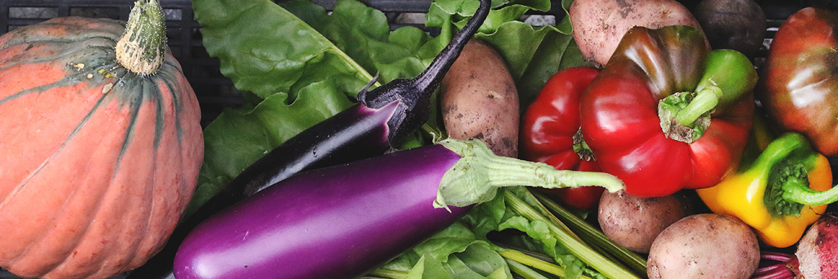 A variety of Urban Farm produce, including eggplant, squash, peppers and beets.