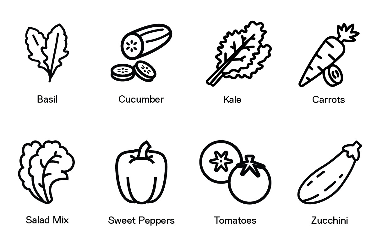 Icons of a sample Garden Grab Bag including basil, cucumber, kale, carrots, salad mix, sweet peppers. tomatoes and zucchin