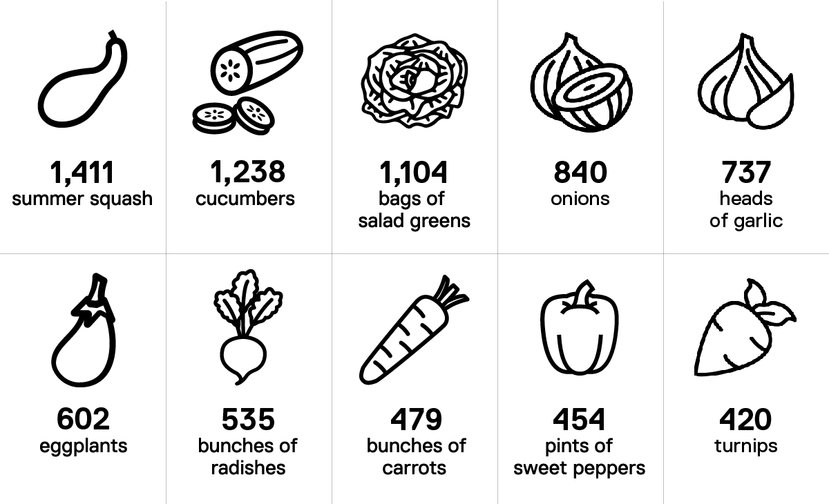 Ten icons representing the Urban Farm's top ten crops