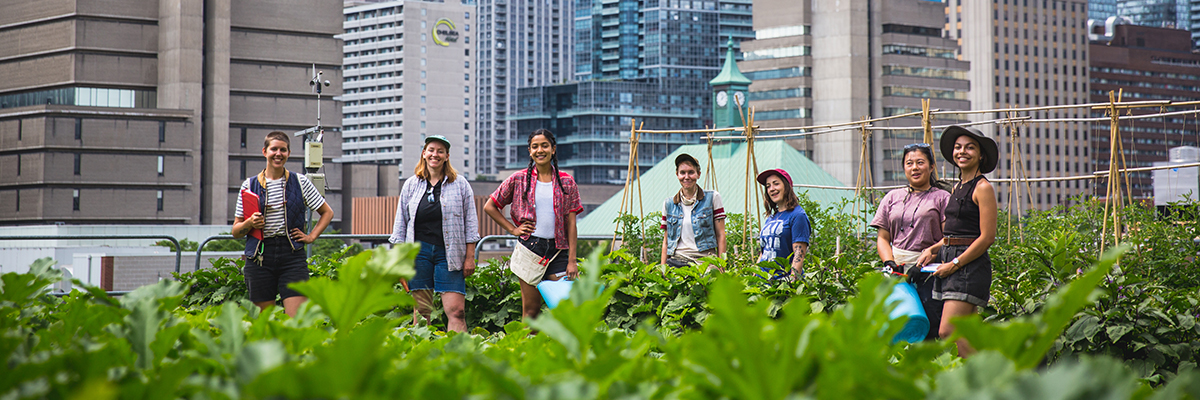 Seven members of the Urban Farm team standing amid crops on the rooftop farm.