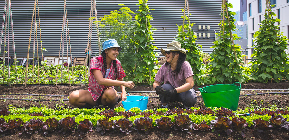 urban farm visit