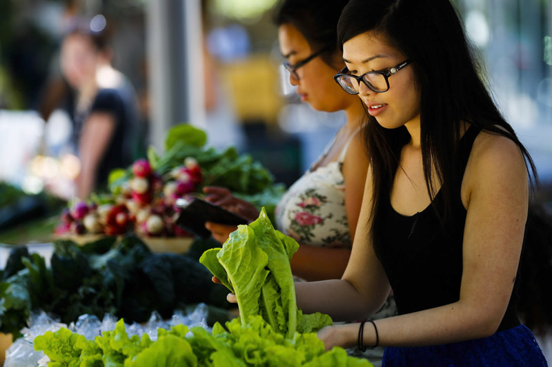 urban health phd