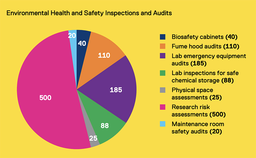 Environmental Health and Safety Inspections and Audits pie chart.