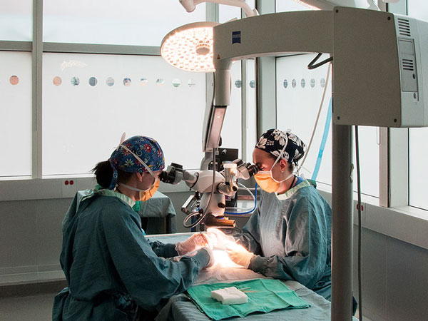 Two clinicians performing a surgical operation