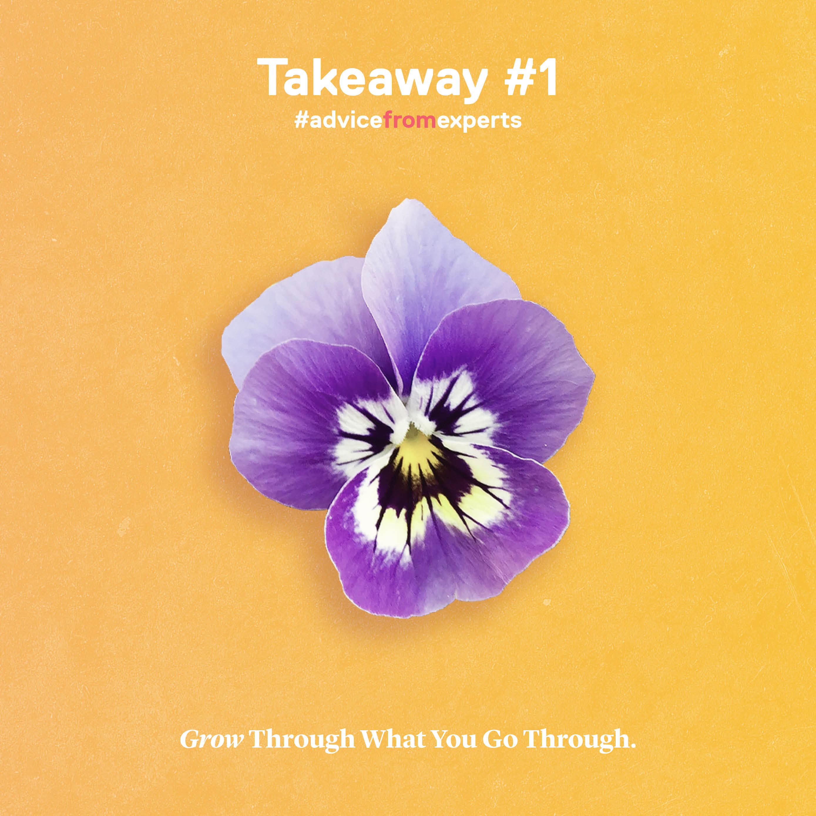 At Home Health image 1