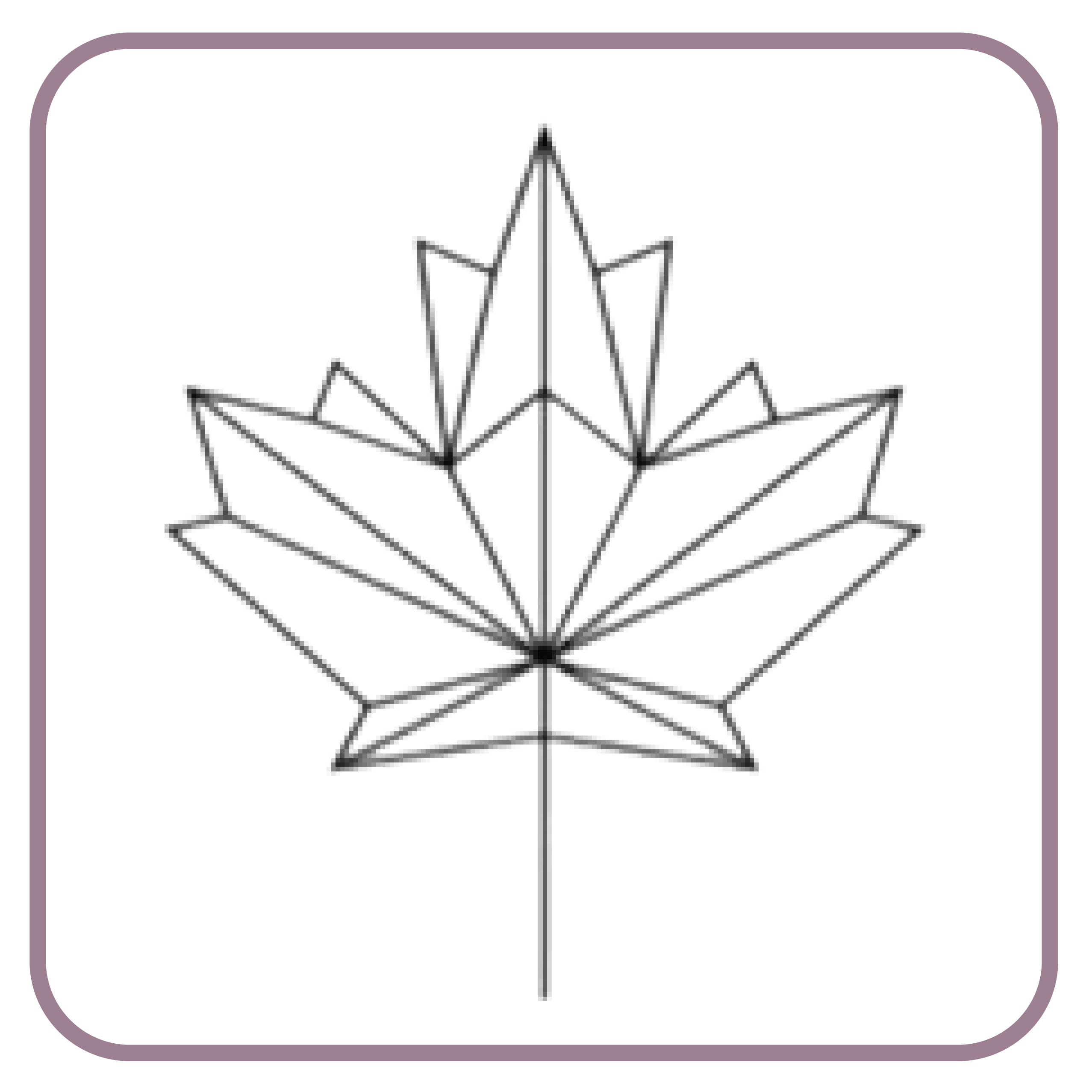leaf icon