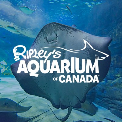 Logo for Ripley's Aquarium