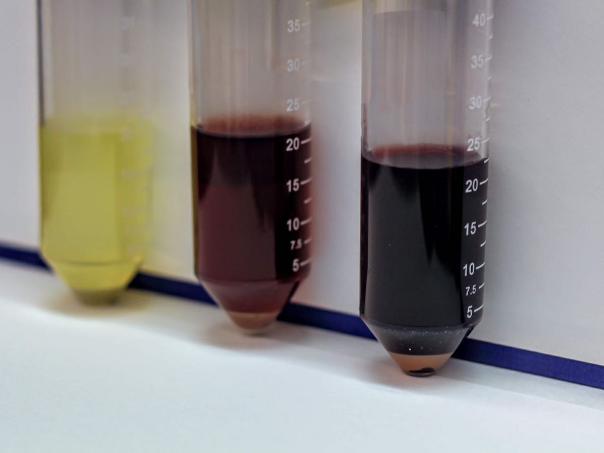 Close up shot of three test tubes with different coloured liquids in them