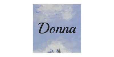 Startup logo - Website size - for individual startup pages - donna-ai-wide