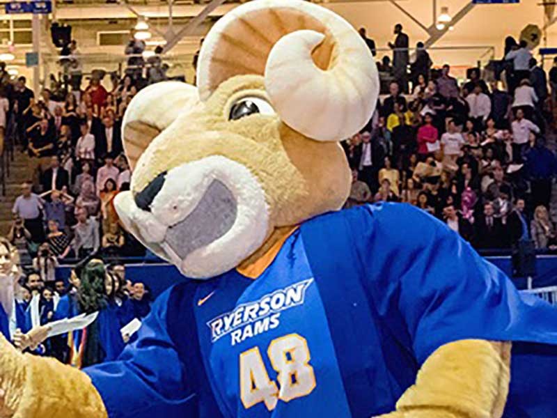 ryerson mascot eggy in a crowded stadium
